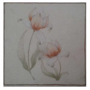 Azulejo Cerâmica Cecrisa 15x15 ref.033